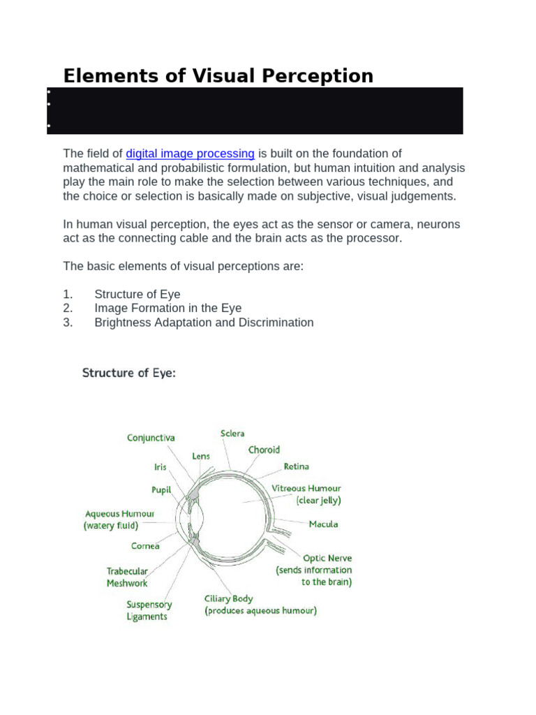 Elements of Visual Perception-unit1 | PDF | Eye | Visual Perception