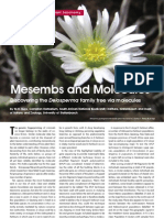 Mesembs and Molecules