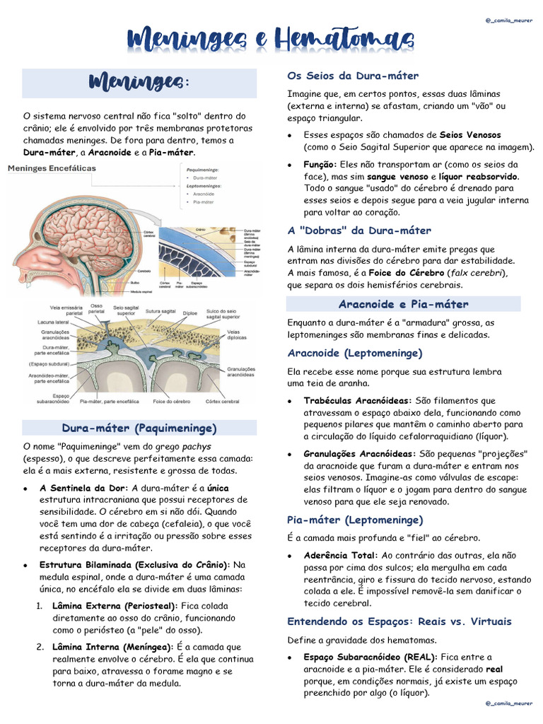 Meninges e Hematomas PDF | PDF | Especialidades médicas | Anatomia humana