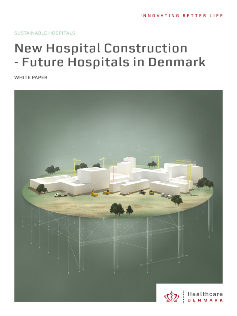 White Paper New Hospital Construction PDF Uk | PDF | Hospital | Patient