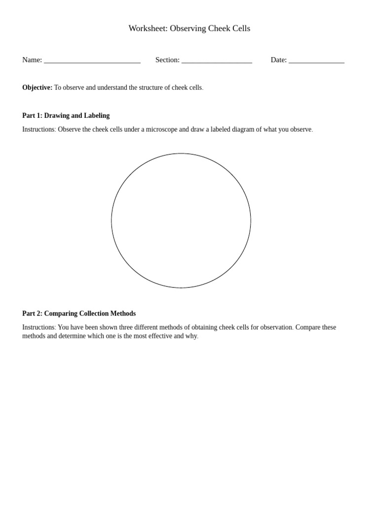 Cheek Cells Worksheet | PDF