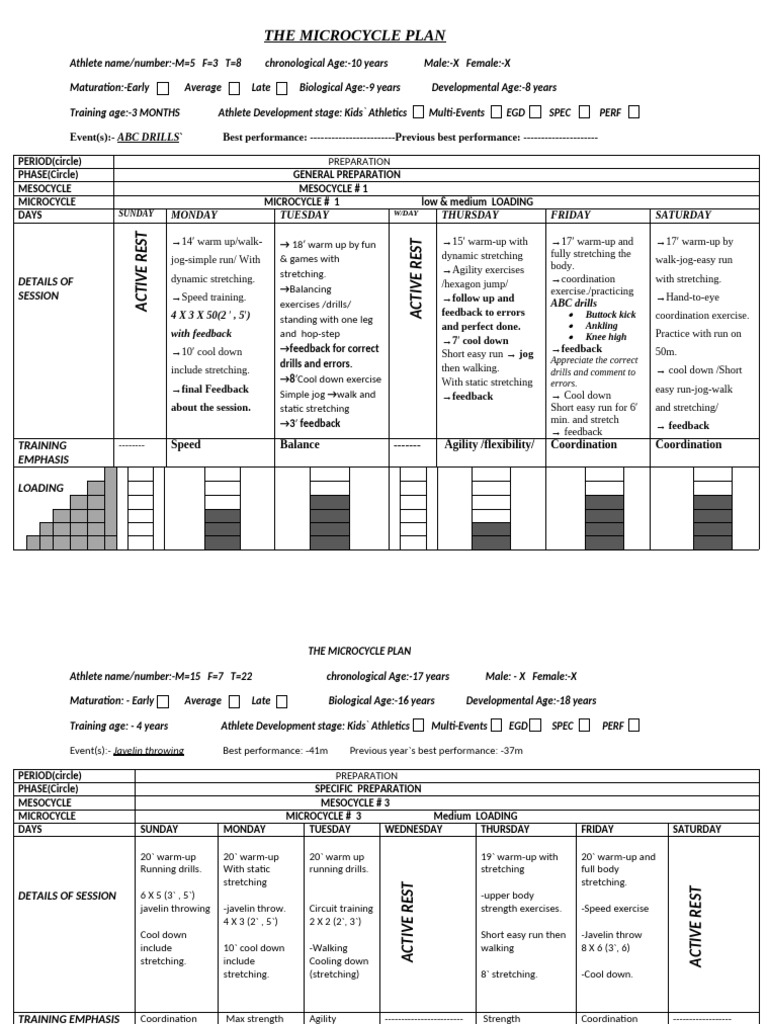 THE MICROCYCLE PLAN | PDF | Management Of Obesity | Physical Fitness