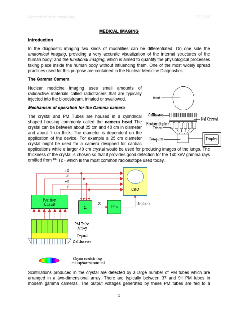 05 Medical Imaging | PDF | X Ray | Magnetic Resonance Imaging