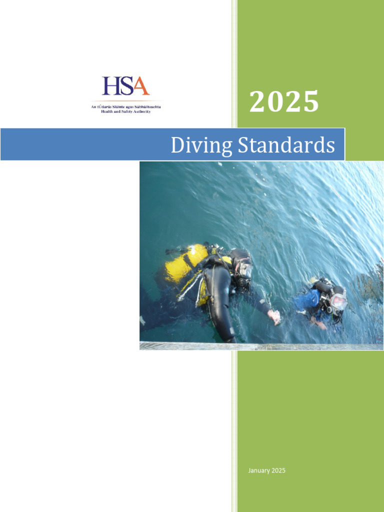 Diving Standards 2025 | PDF | Scuba Diving | Underwater Diving