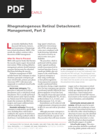 Common Retina and Vitrectomy CPT Codes | PDF | Medical Procedures ...