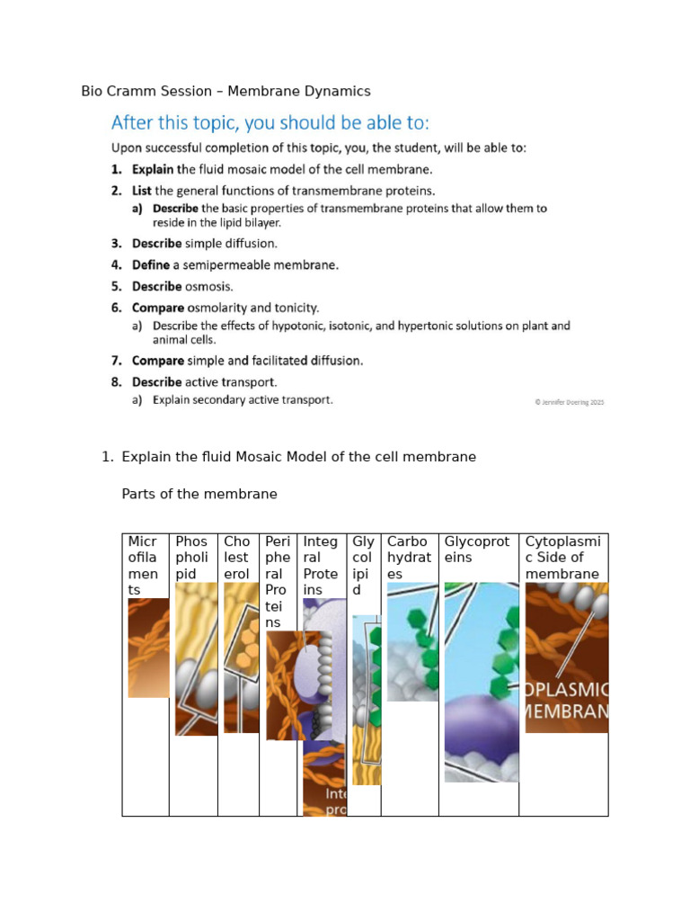 Bio Cramm Bio Exam- Membrane Dynamics | PDF