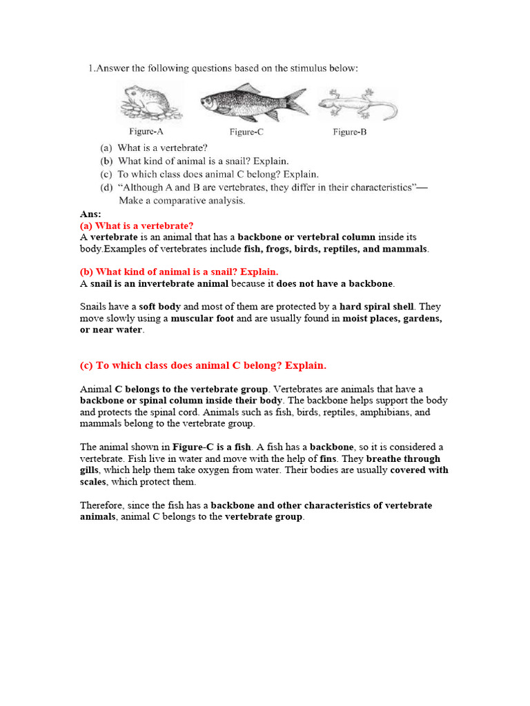 Science Ch 2 | PDF