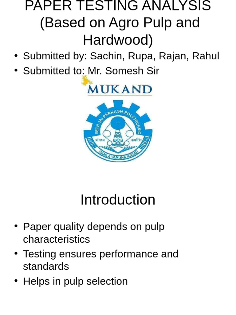Final Paper Testing PPT | PDF