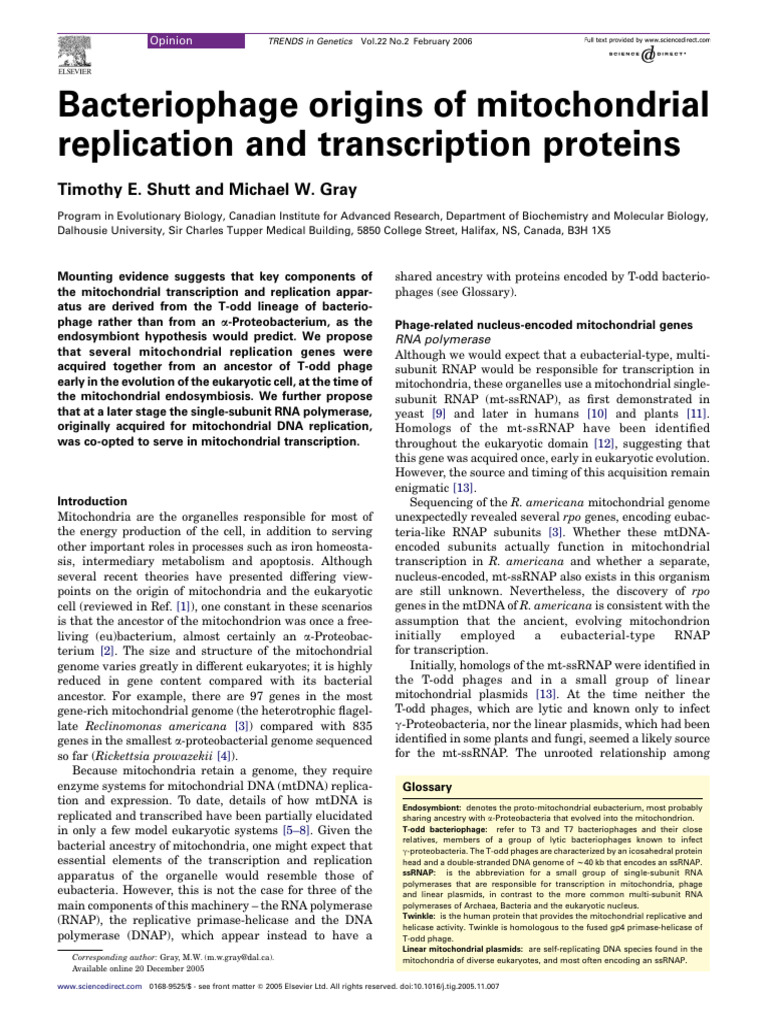shutt2006 | PDF | Dna Replication | Mitochondrial Dna