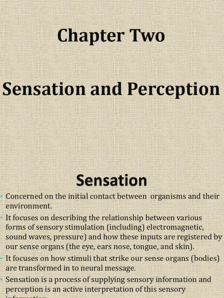 Sensation and Perception | PDF | Senses | Perception