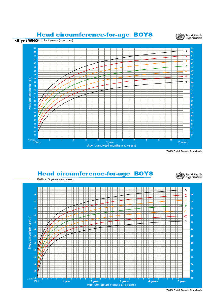 WHO Growth Chart | PDF