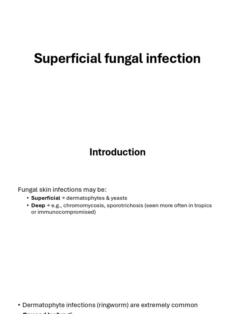 GP Superficial Fungal Infection | PDF | Dermatology | Diseases And ...