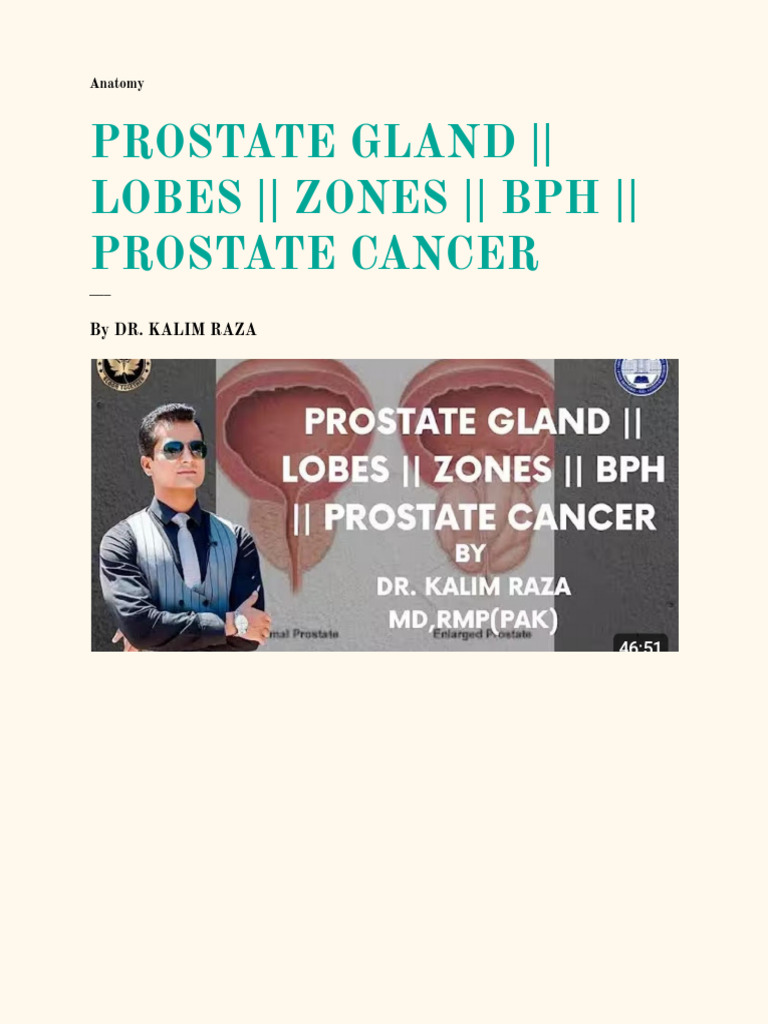 Prostate Gland - Lobes - Zones - BPH - Prostate Cancer | PDF | Prostate ...