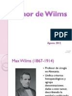 Tumor de Wilms