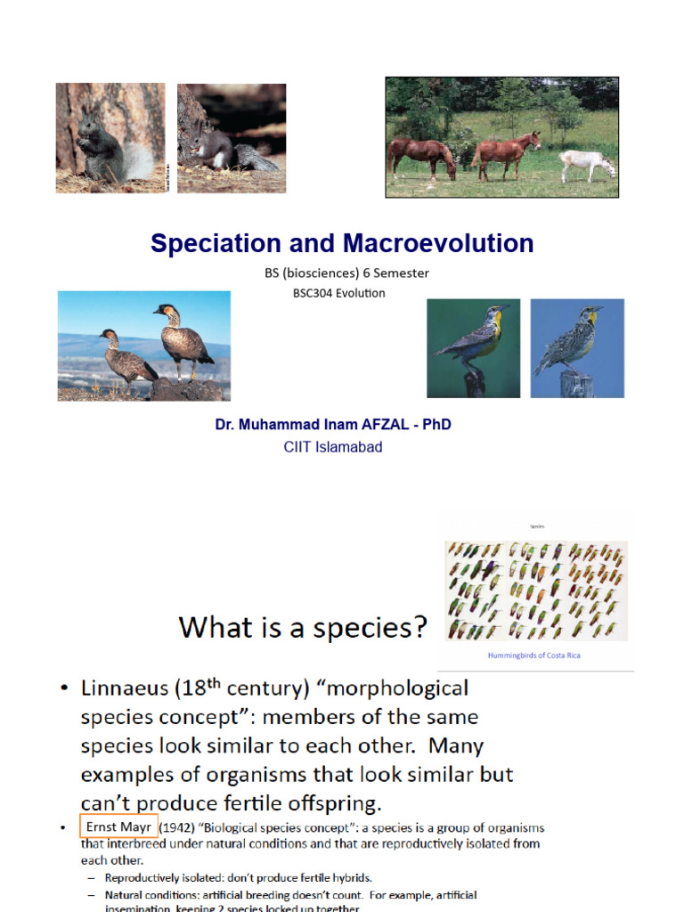 4 Speciation and Macroevolution.pptx | PDF