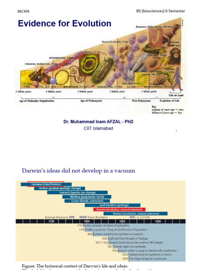 2 Evidence Evolution.pptx | PDF | Anatomy | Fossil