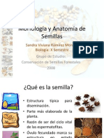 Morfología y Anatomía de Semillas