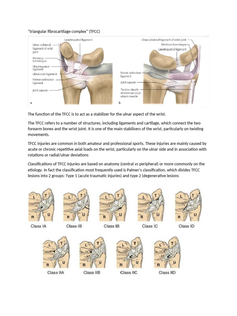 Triangular Fibrocartilage Complex | PDF | Skeletal System | Joints