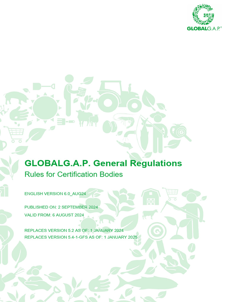 240902 GG GR Rules for CBs v6 0 Aug24 En | PDF | Regulatory Compliance