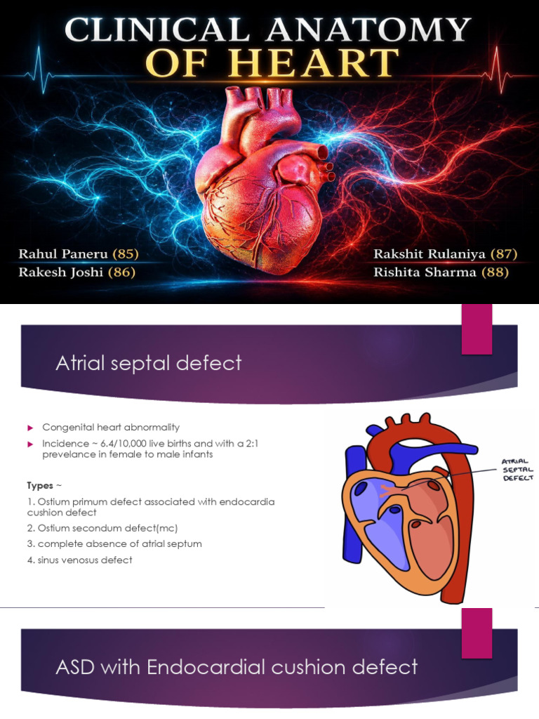 Clinical Anatomy of Heart | PDF | Coronary Circulation | Heart
