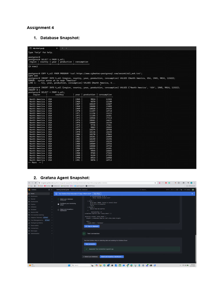 Software Quality IV - Assignment 4 | PDF