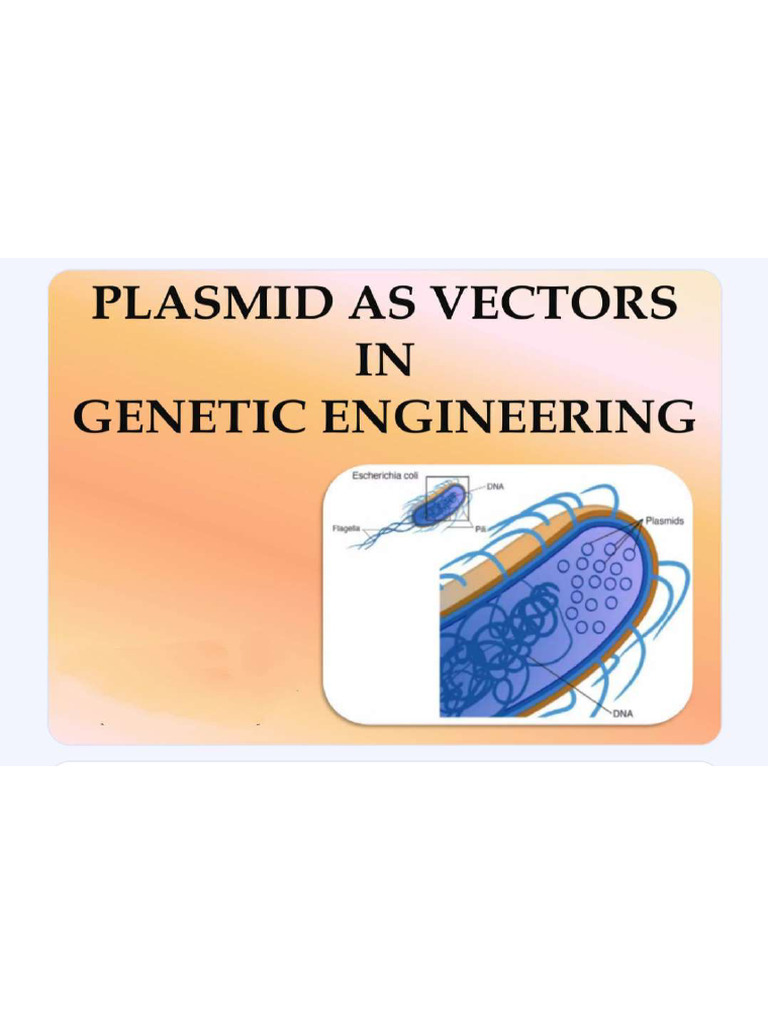 Plasmid Vectors | PDF