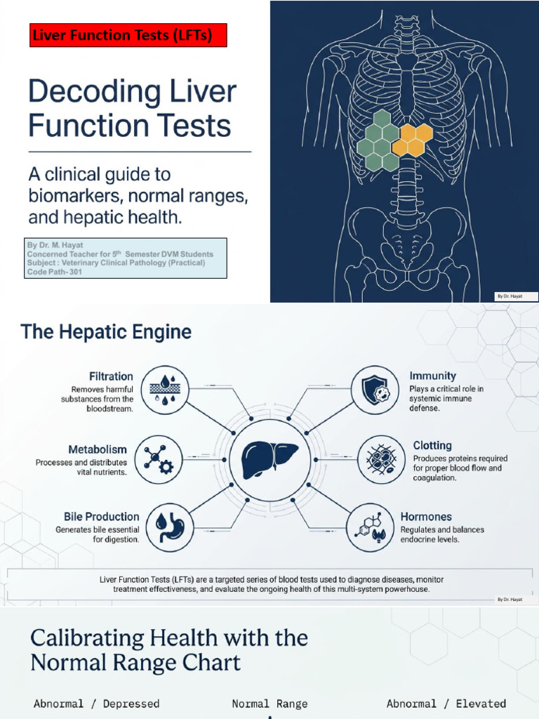 Liver_Function Tests | PDF
