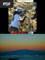 Download Hawaii Kua Uli -- Grand Tour of Hawaiian Ecosystems by Sam Ohu Gon III SN103509246 doc pdf