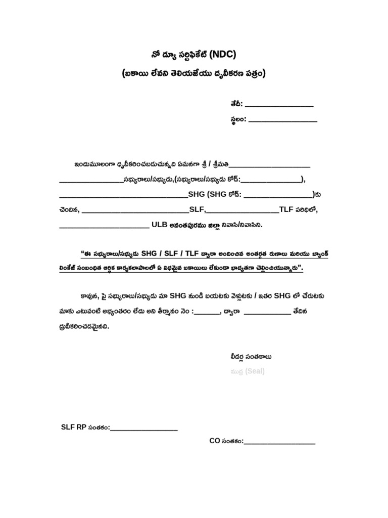 Ndc Format (1) | PDF