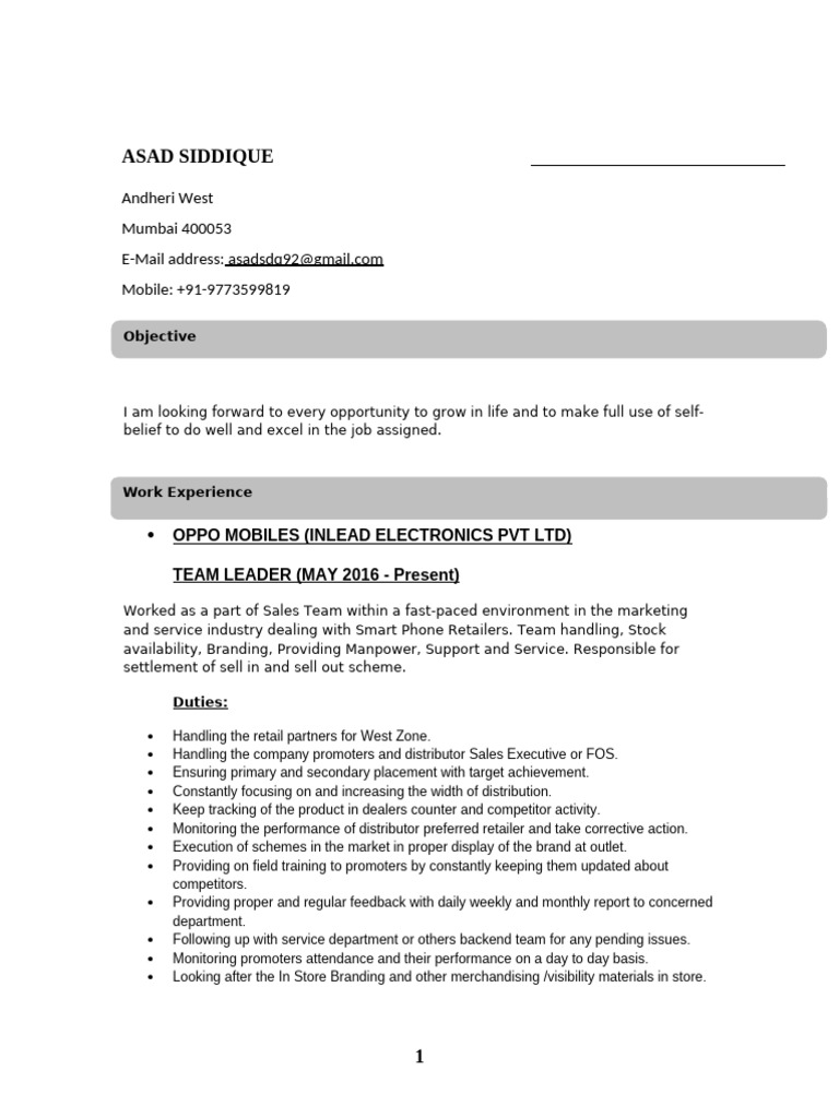 Asad CV | PDF | Economies | Business
