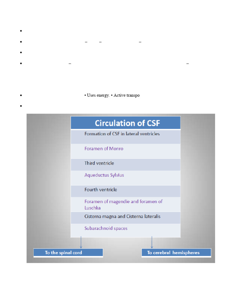 CSF COMPOSITION_240228_095243 | PDF | Cerebrospinal Fluid | Physiology