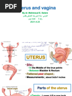 Uterine Ligaments: Anatomy and Functions | PDF