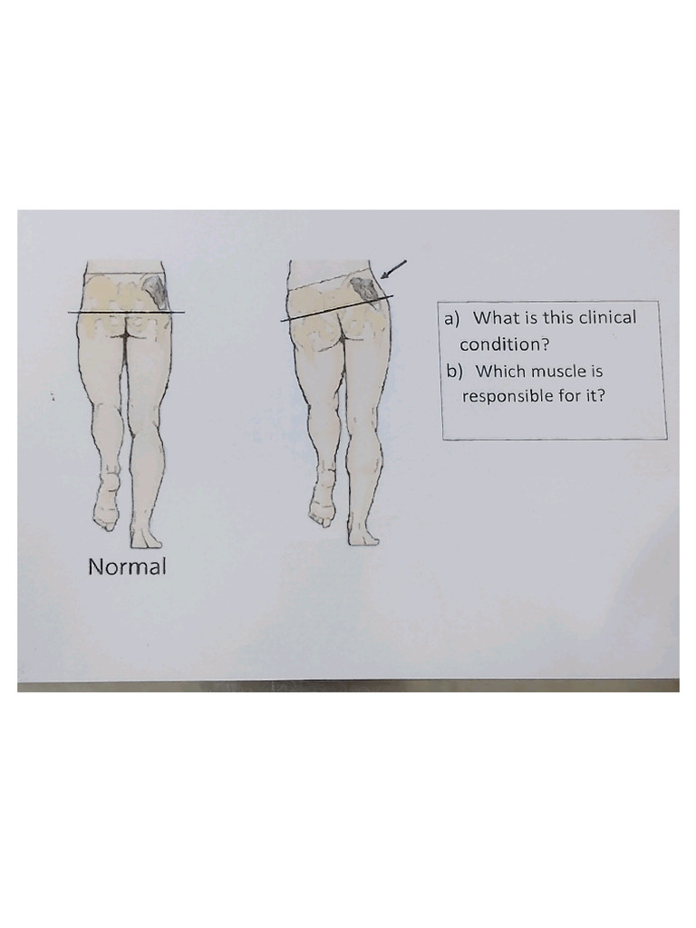 Clinical Charts | PDF