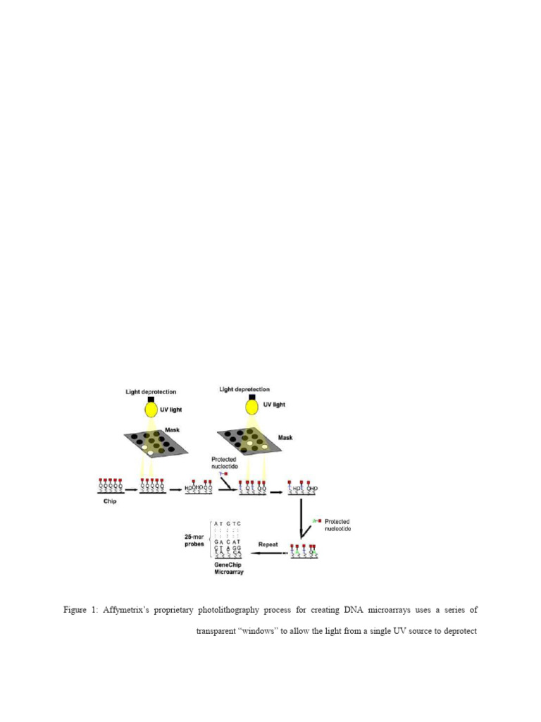 In Situ DNA Microarray | PDF | Dna Microarray | Oligonucleotide