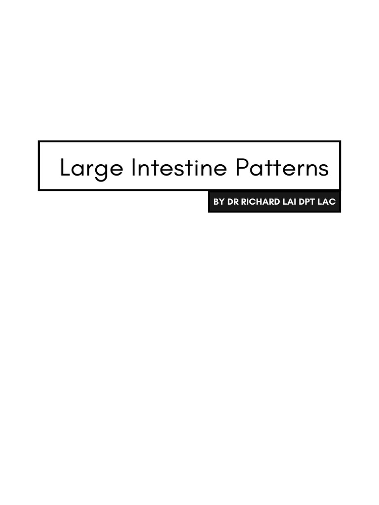 Large Intestine Patterns Outline Format | PDF | Acupuncture | Constipation