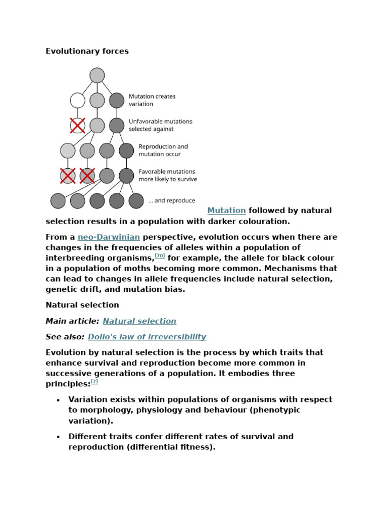 Evolutionary forces | PDF