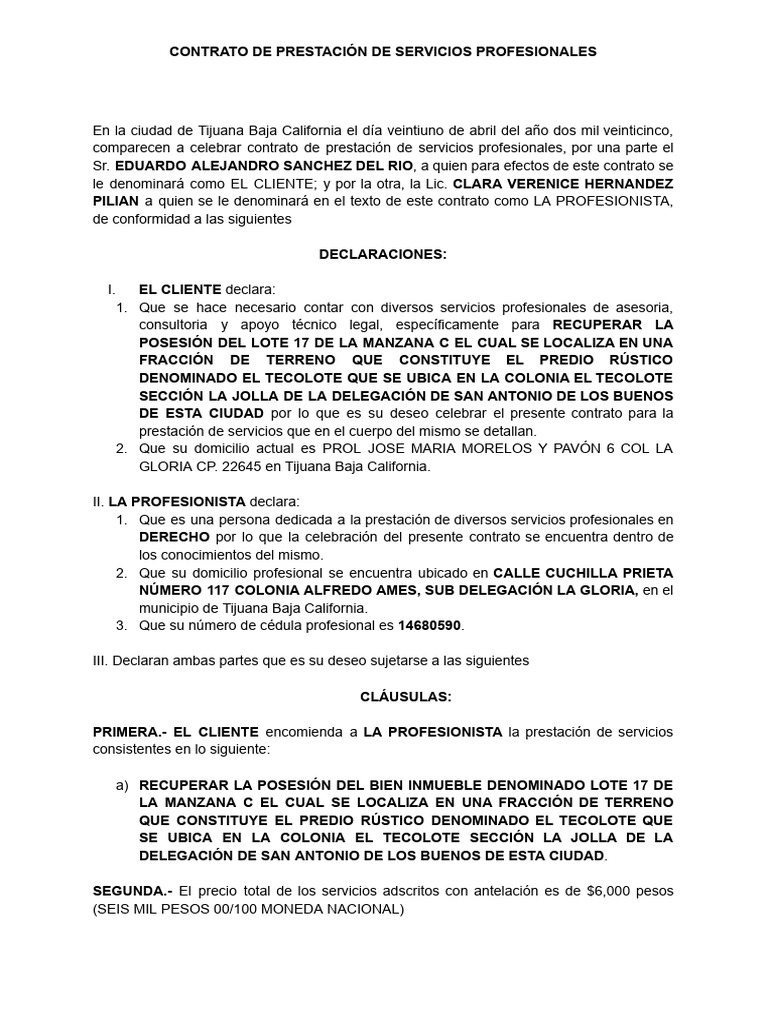 Servicios Profesionales | PDF