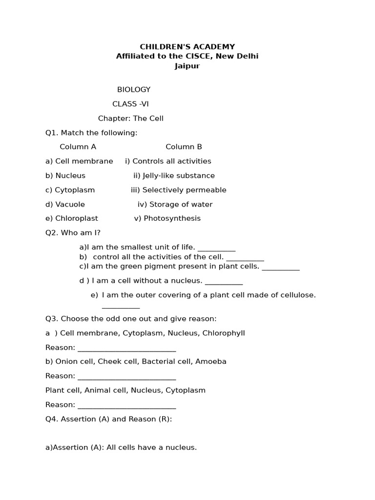 Updated Worksheet | PDF