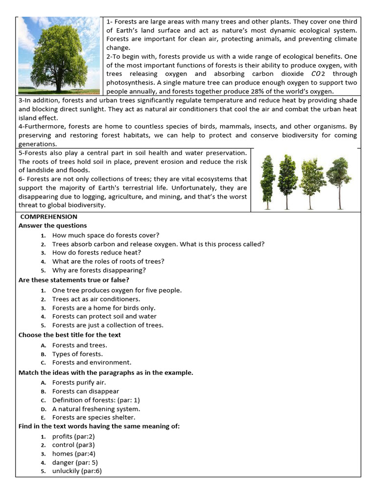 Task | PDF | Forests | Trees