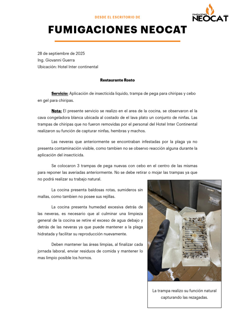 Informe Neocat Inter Continental | PDF | Agua | Panes