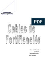 Informe Oficial Cables