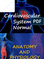 Cardiovascular System - Normal