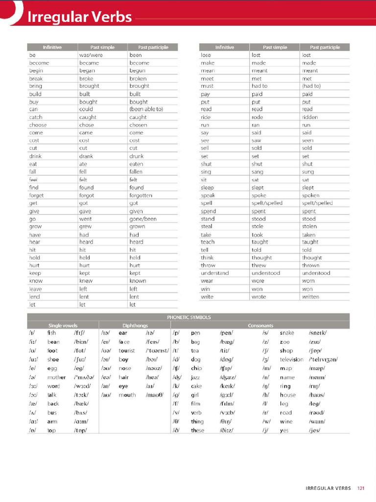 Extra Grammar and Exercises | PDF | Plural | Grammatical Number