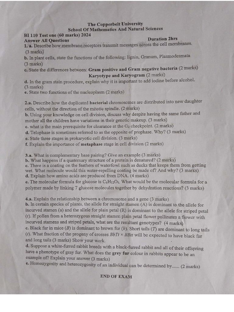 BI_110_TEST1 | PDF