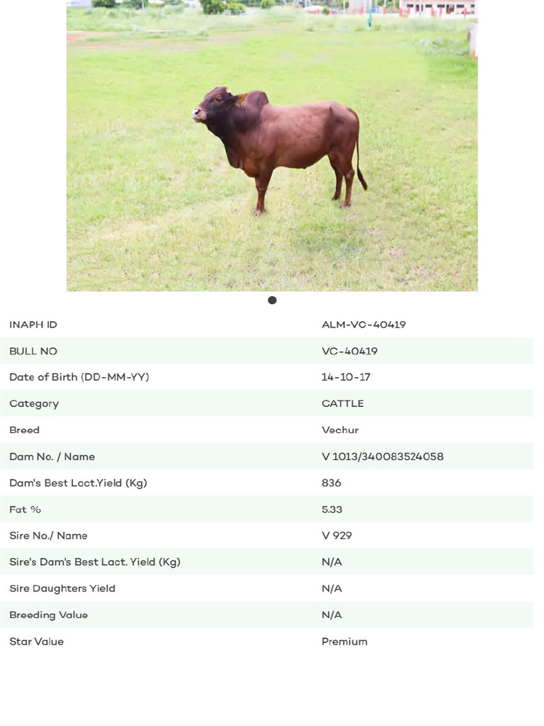 Imported & Premium Bull Catalogue | PDF
