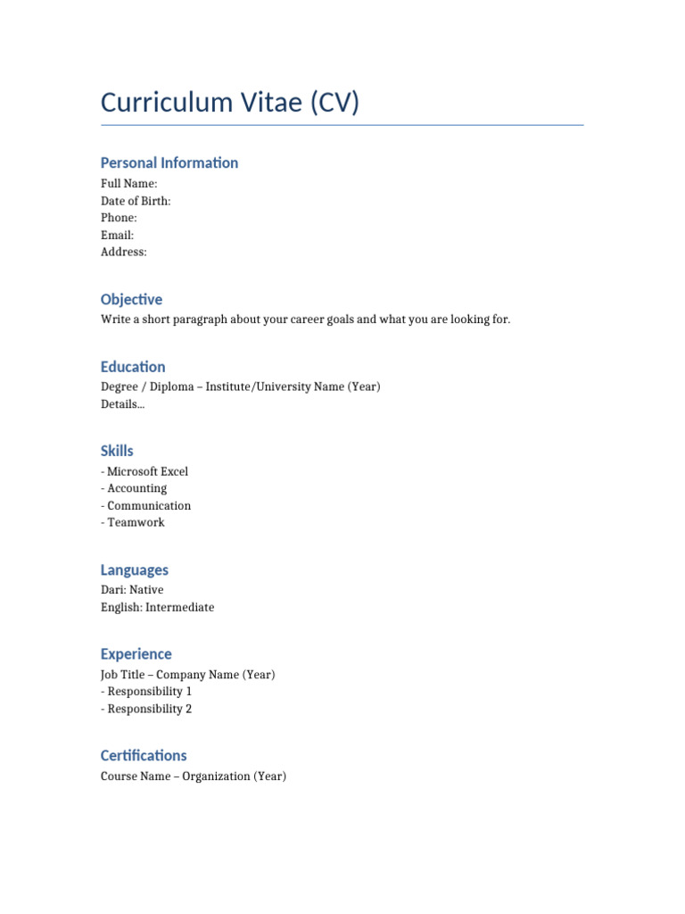 Professional CV Template | PDF