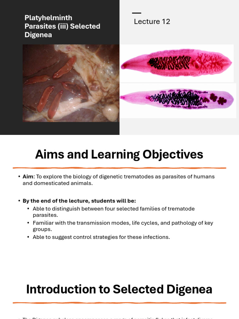 Lecture 12 Platyhelminth Parasites (III) Selected Digenea | PDF ...