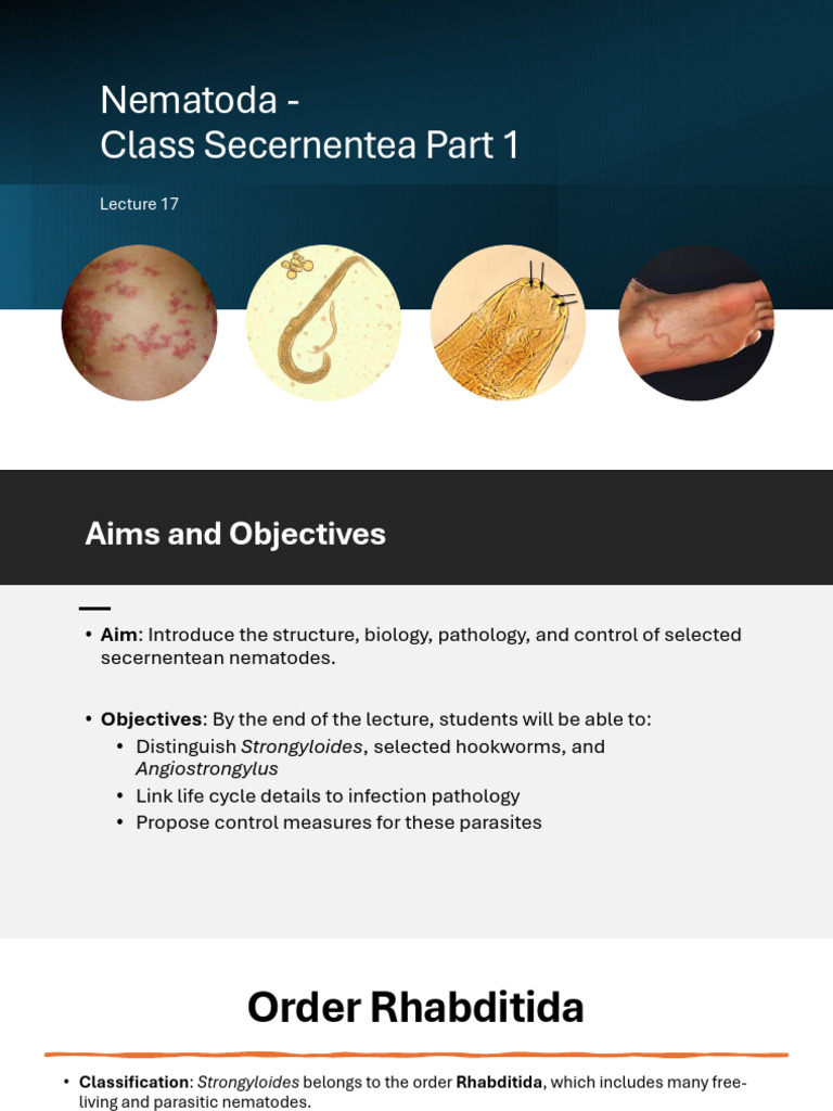 Lecture 17 Phylum Nematoda - Class Secernentea Part 1 | PDF | Diseases ...