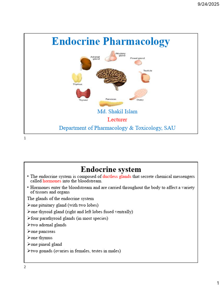 Endocrine | PDF | Endocrine System | Luteinizing Hormone
