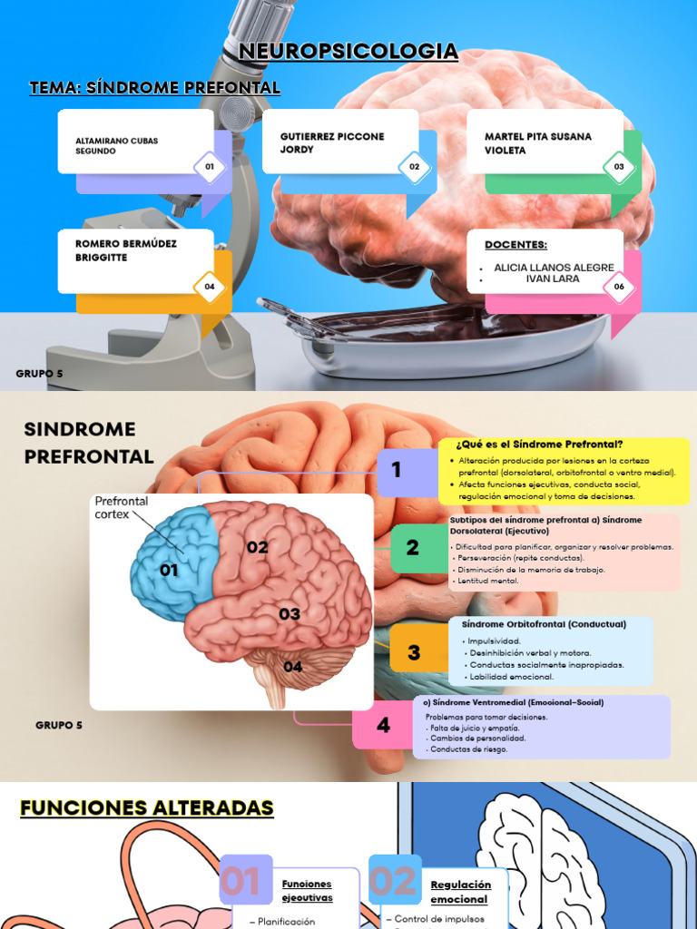 Colorful Team Role Allocation Infographic Presentation | PDF ...